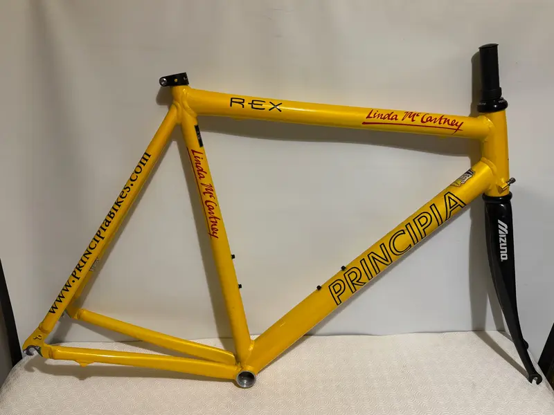 56cm Principia REX Linda McCartney.webp