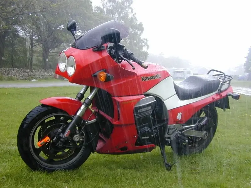 rain.webp