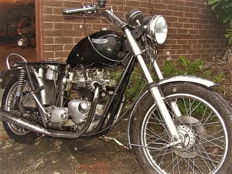 triumph.webp