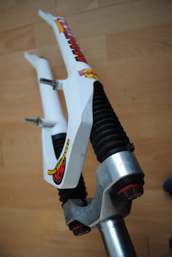 DSC_0015 (29).webp