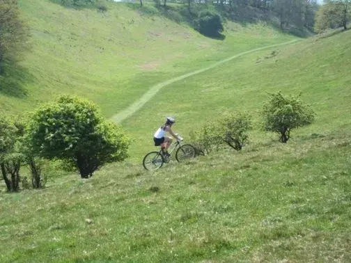 100_0744.webp