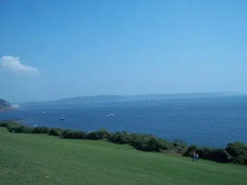 100_0789.webp