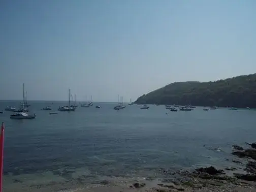 100_0801.webp