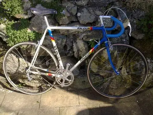 Raleigh Professional 001.webp