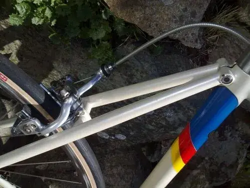 Raleigh Professional 011.webp