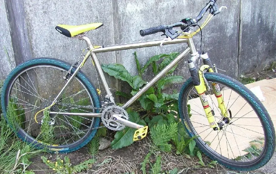 cropped 1.webp