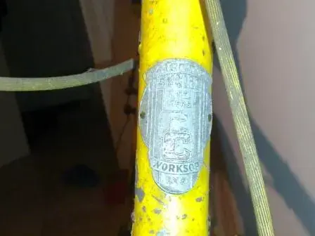 Carlton head badge.webp