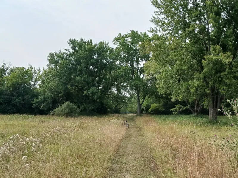 20250808_090227~2.webp