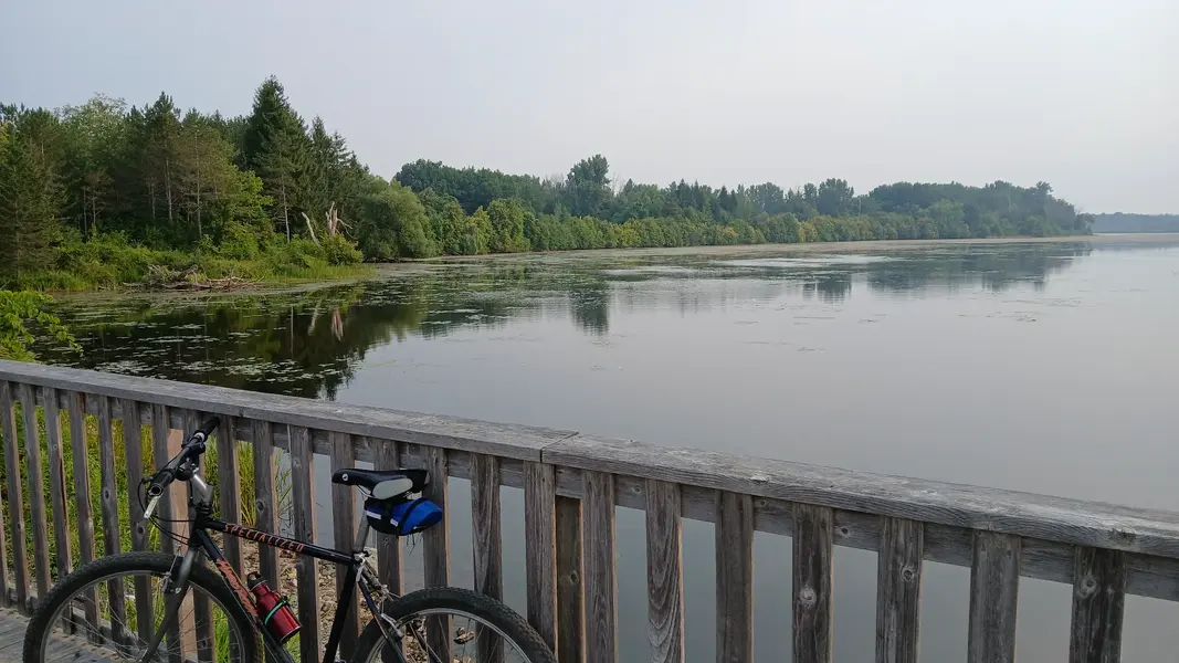 20250808_073602.webp