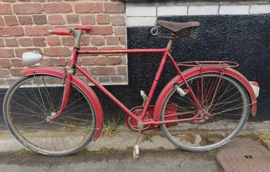 Leleu porteur2.webp