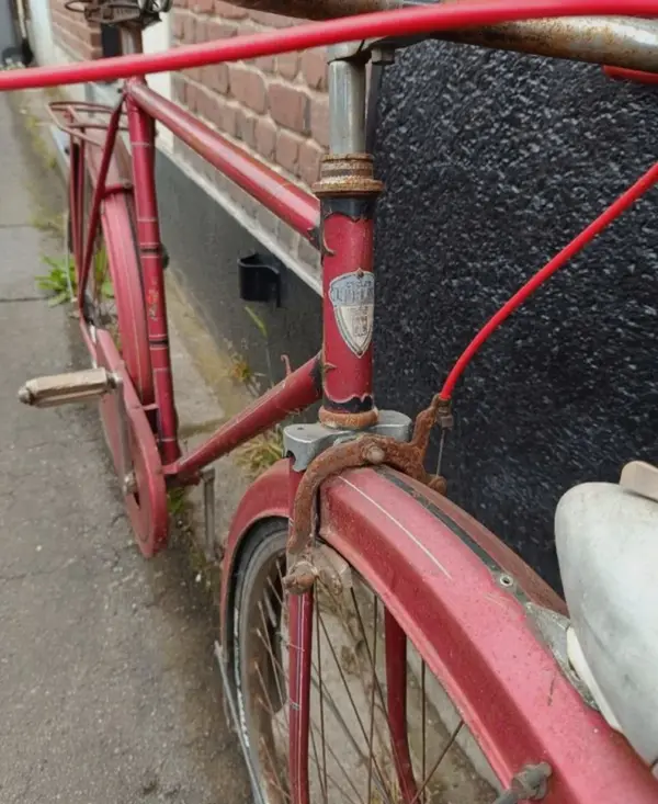 Leleu porteur3.webp