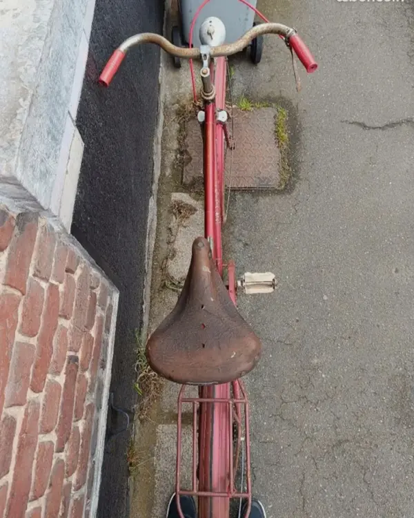 Leleu porteur4.webp