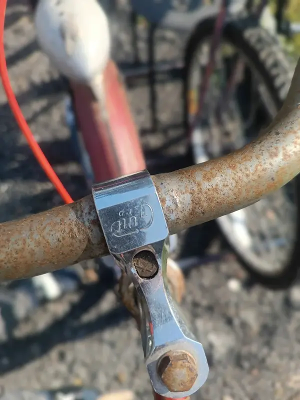 Leleu porteur10.webp