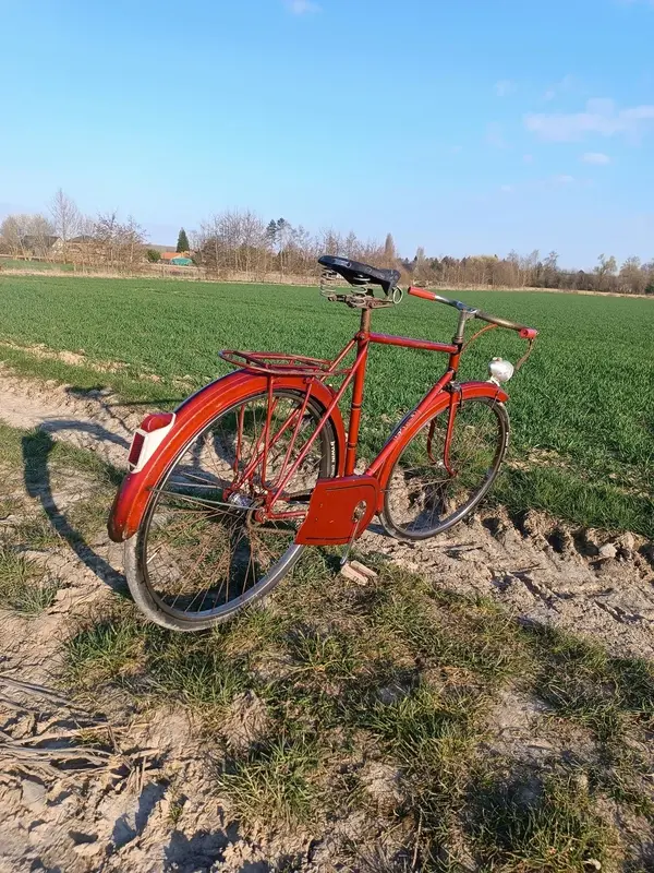Leleu porteur19.webp