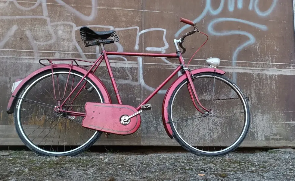 Leleu porteur20.webp