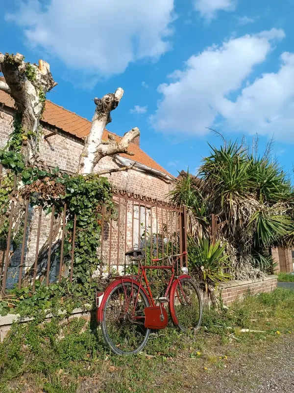 Leleu porteur22.webp
