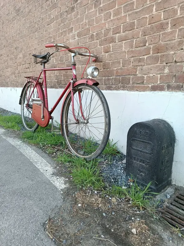 Leleu porteur23.webp