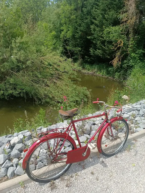 Leleu porteur25.webp