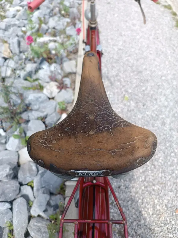 Leleu porteur28.webp