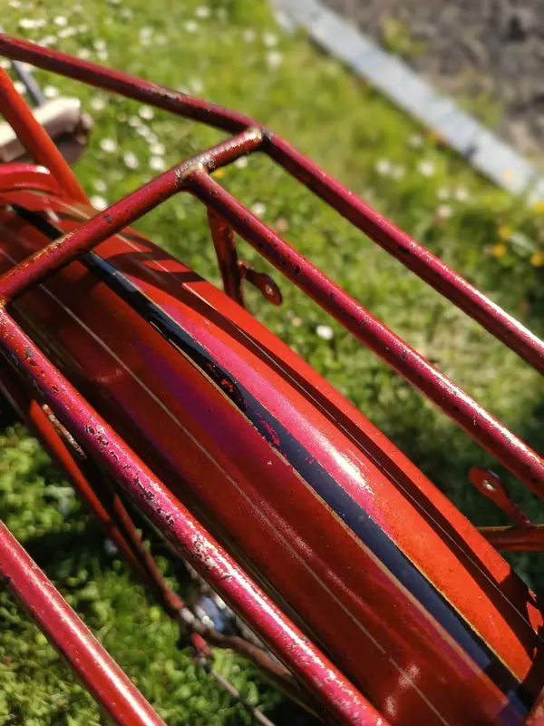 Leleu porteur29.webp