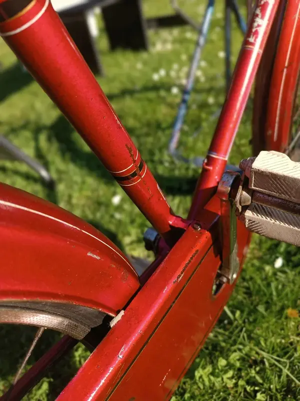 Leleu porteur30.webp