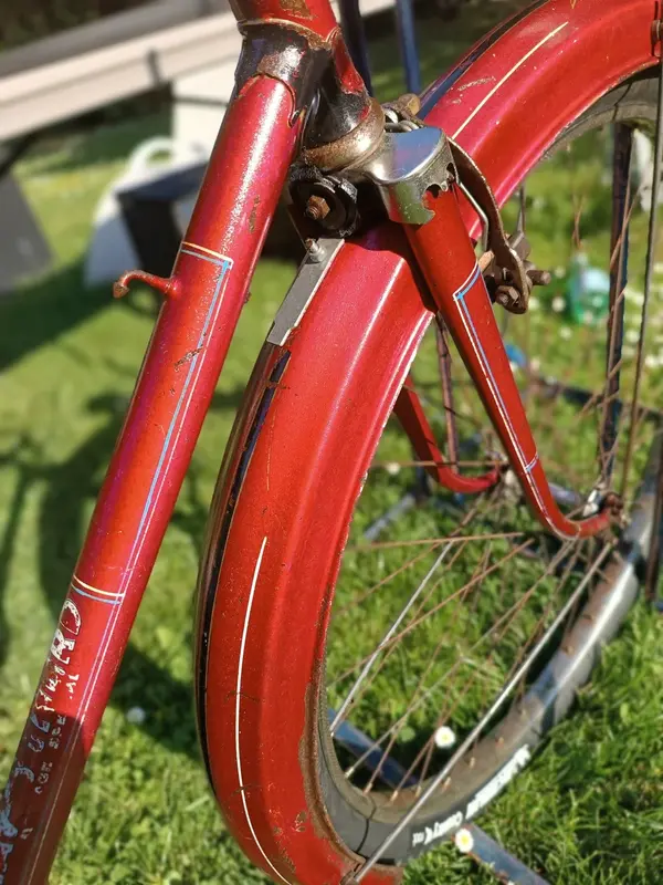 Leleu porteur31.webp