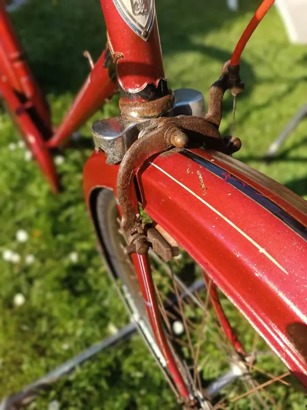 Leleu porteur32.webp