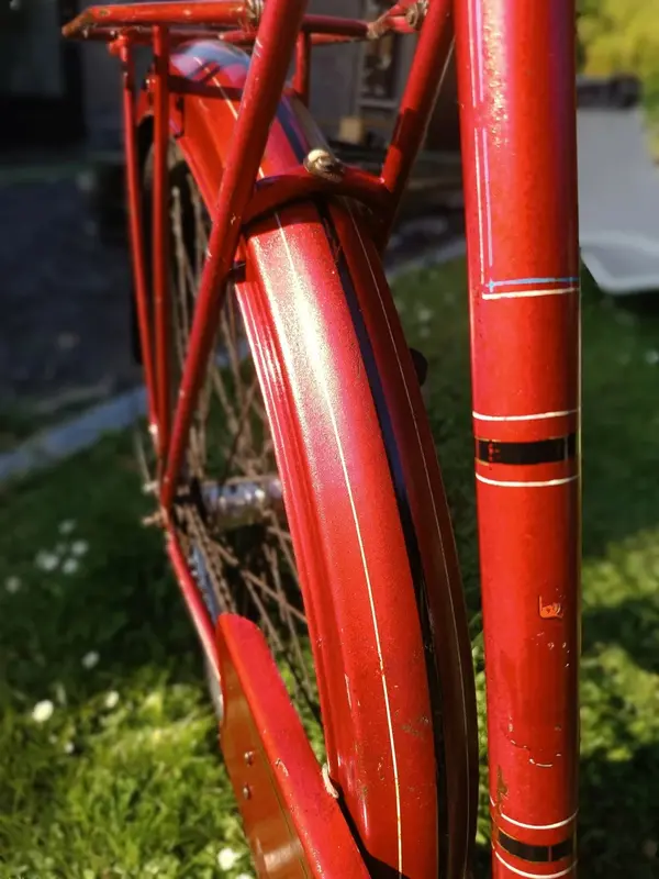 Leleu porteur34.webp