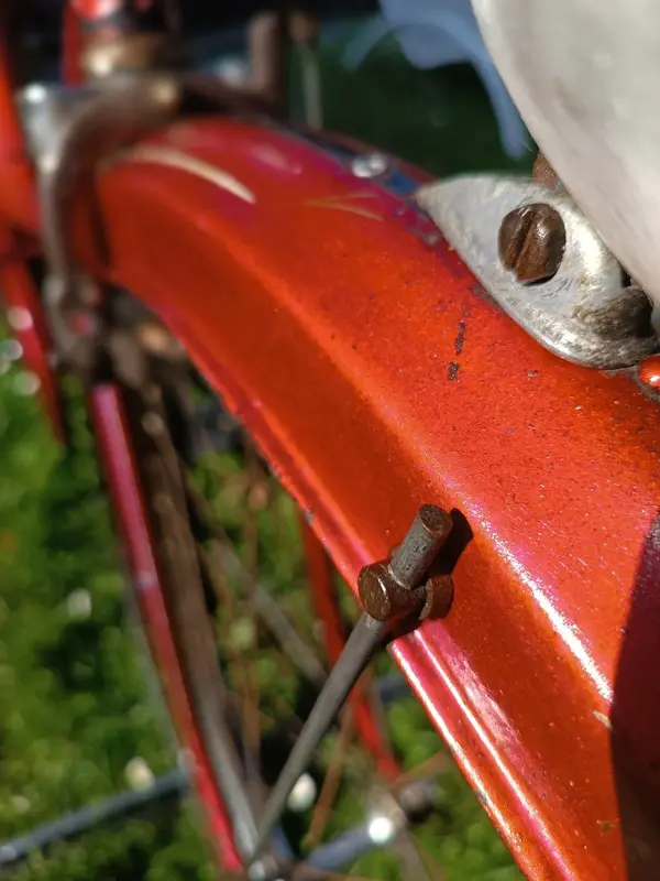 Leleu porteur35.webp