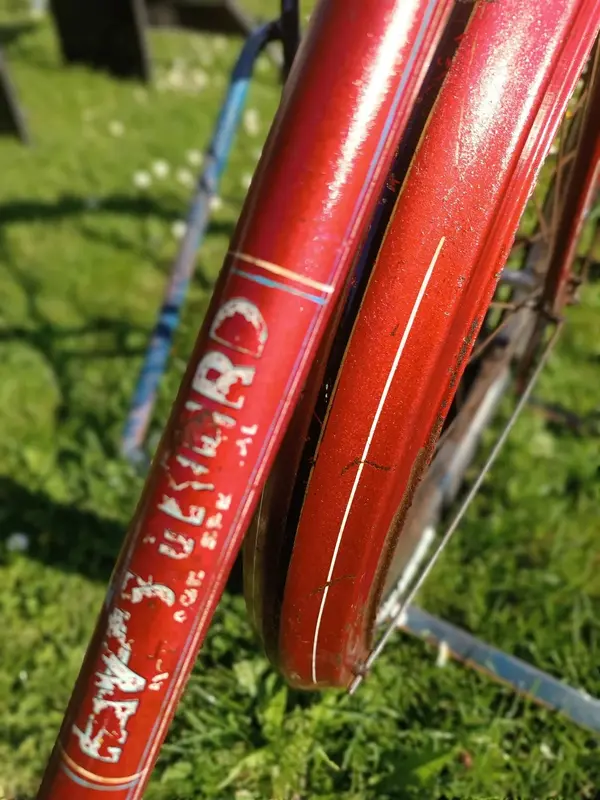 Leleu porteur36.webp