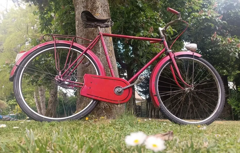 Leleu porteur37.webp