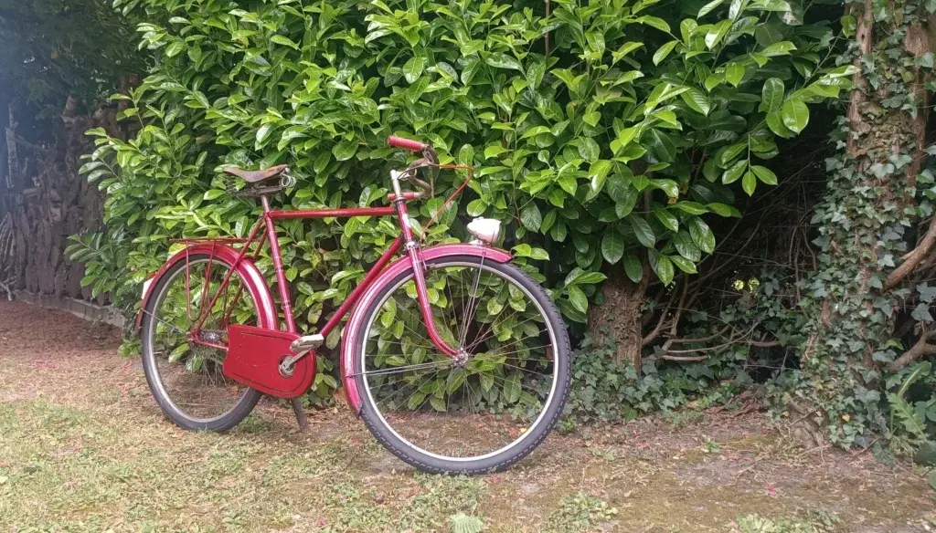 Leleu porteur38.webp