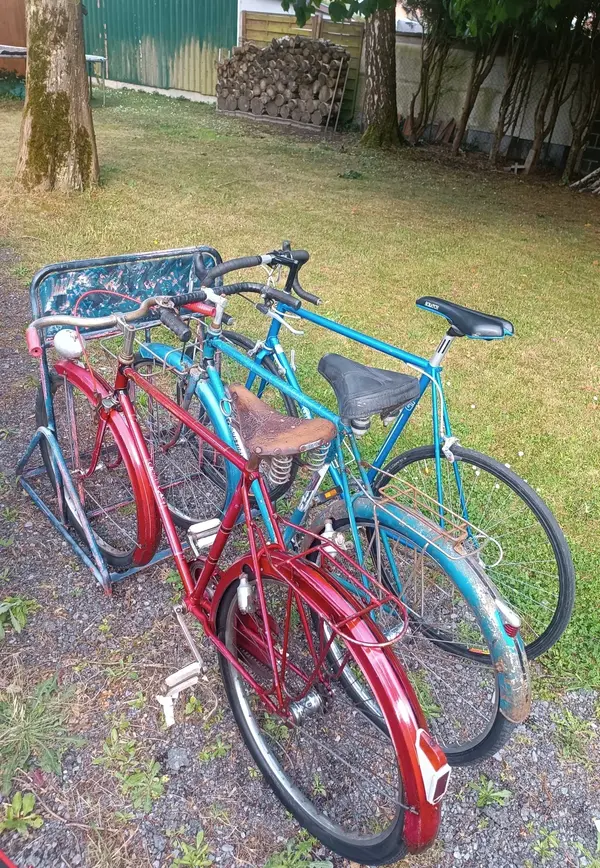 Leleu porteur39.webp
