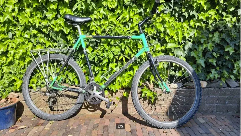 Raleigh bike.webp
