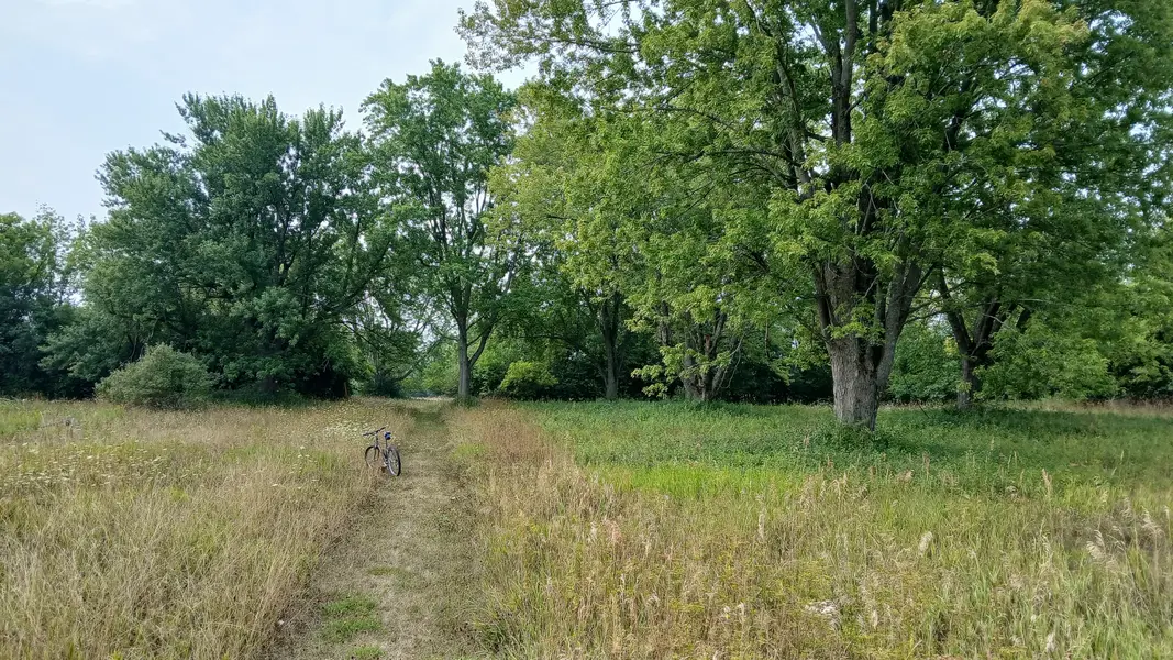 20250808_090204~2.webp