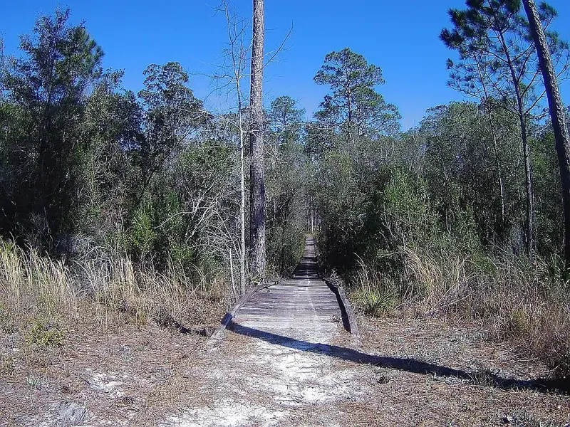 long bridge.webp
