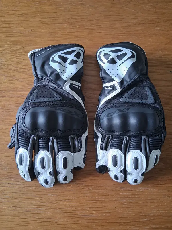 Gloves 1.webp