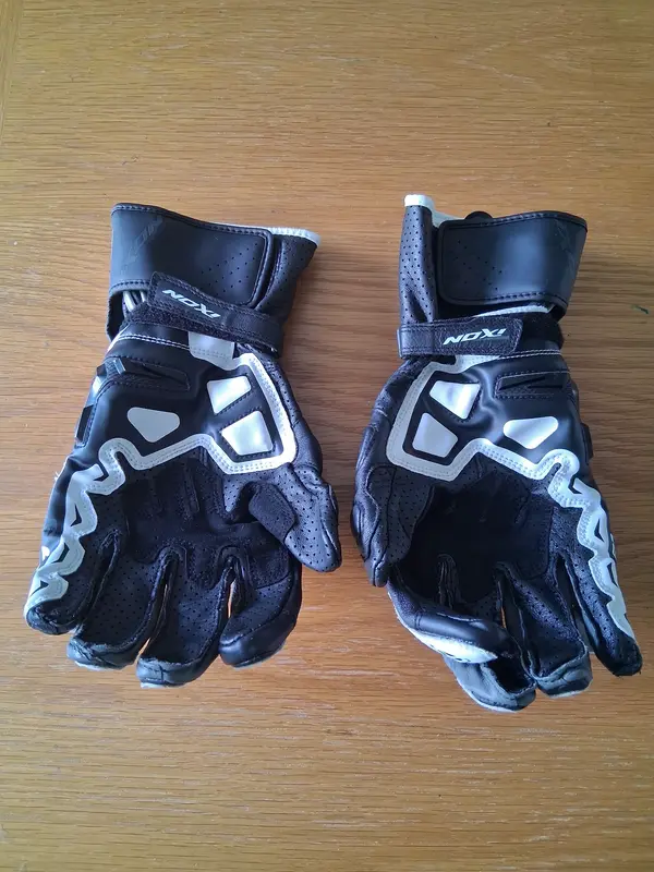 Gloves 2.webp