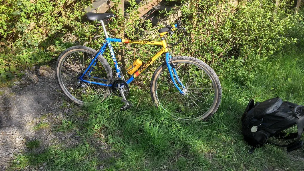 raleigh team mtb.webp