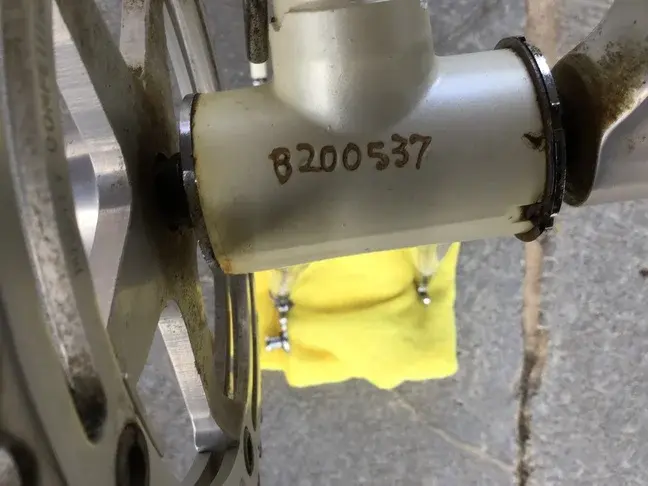 white bike with notched shell .webp
