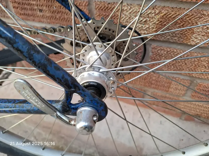 20250821_161634.webp