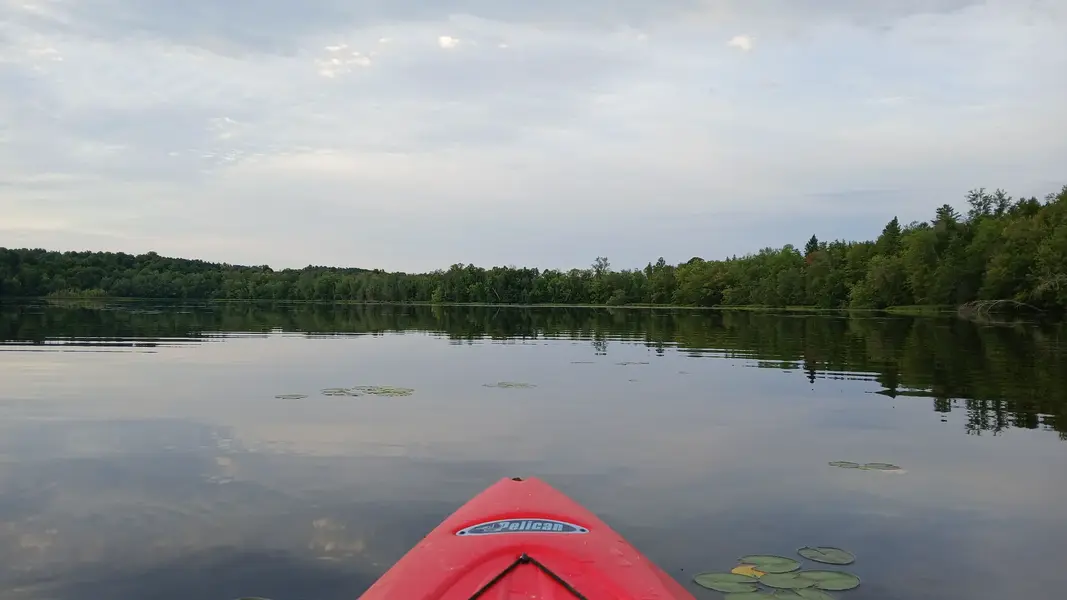20250823_065455.webp