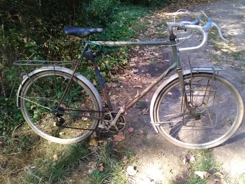1950 goeland1.webp
