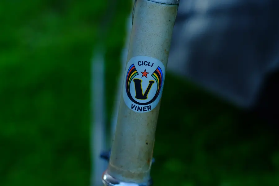 Viner_Special_Course (2).webp