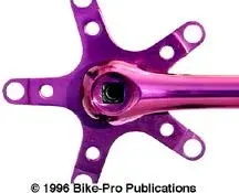 topline mountain spider.webp