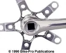 topline_sls_spider.webp
