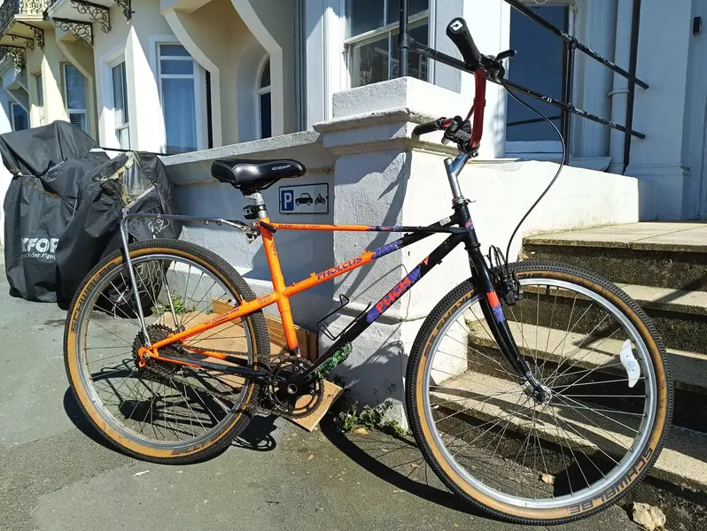 !puch-pholcus.webp