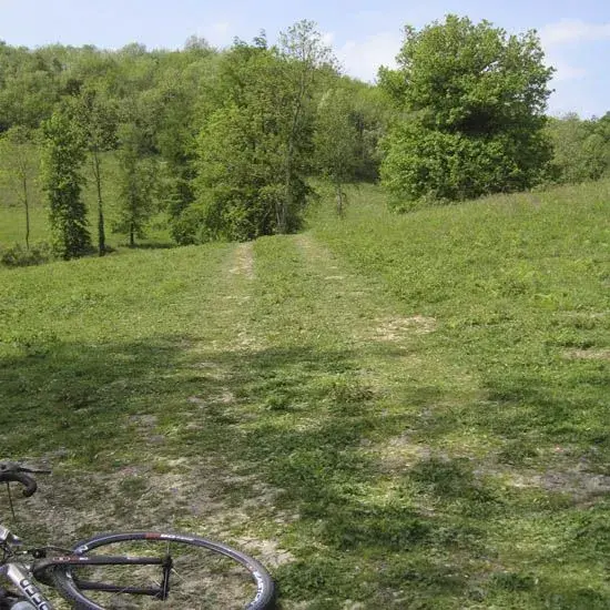Hills.webp