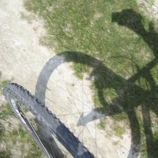 Shadow.webp
