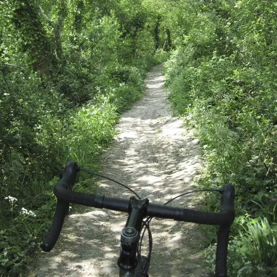 Singletrack.webp